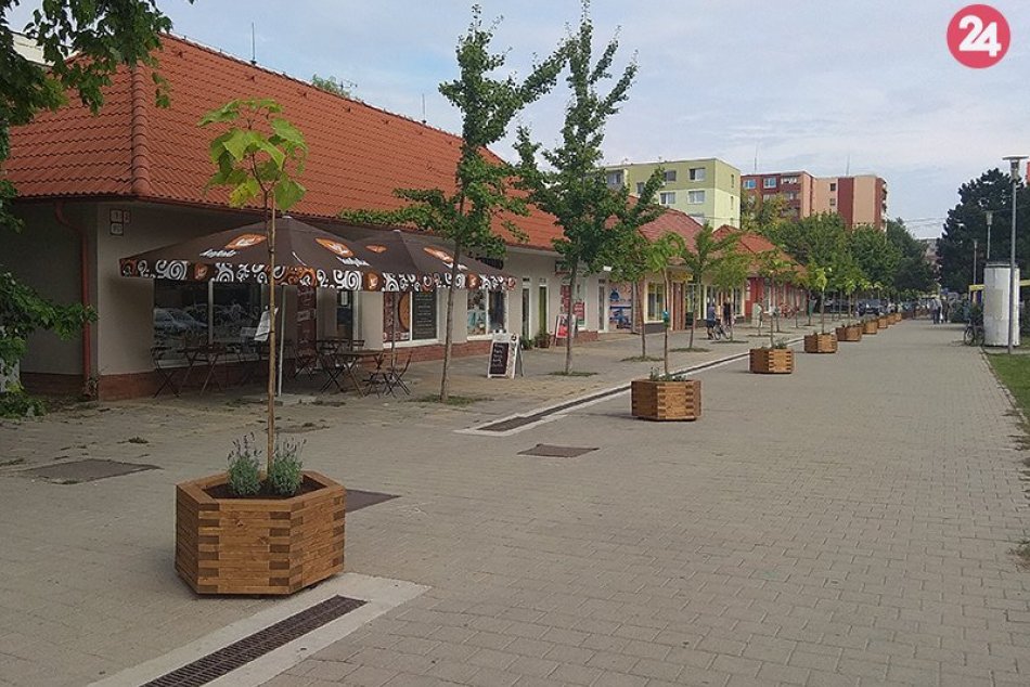 Ilustračný obrázok k článku Na Letomostí je vysadená nová zeleň: Keď podrastie, skrášli ďalšie lokality mesta