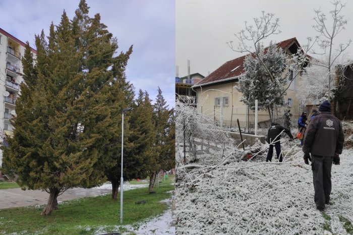 Ilustračný obrázok k článku Novovital pokračuje zimnej údržbe zelene: Z námestia už odstránili vianočnú výzdobu