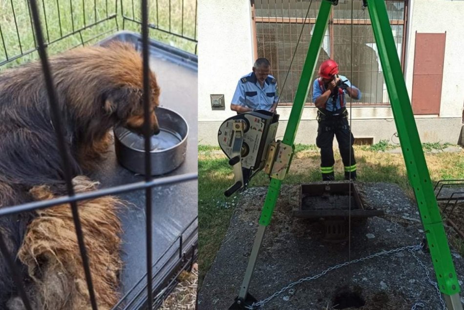 Ilustračný obrázok k článku Hasiči opäť zasahovali: Zachránili život psíka, ktorý spadol do studne